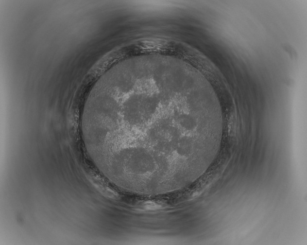 X0000112530737200908171420