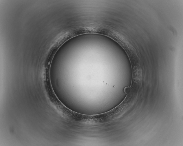 X0000112530738200908171420