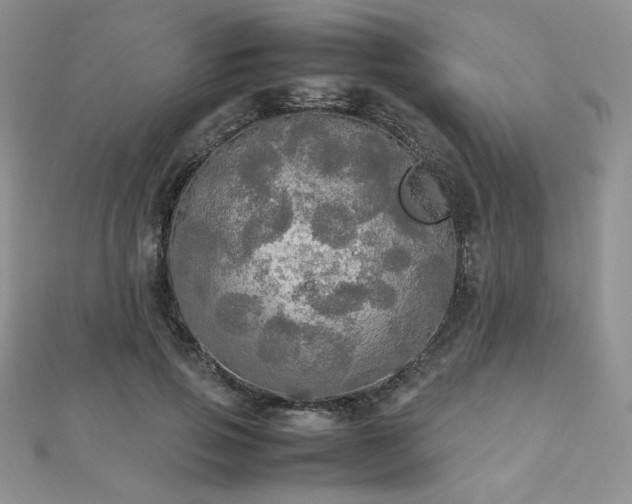 X0000112530741200908171420