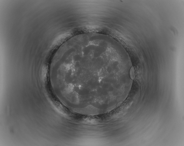 X0000112530742200908171420
