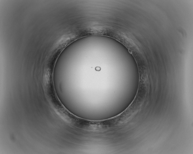 X0000112530744200908171420