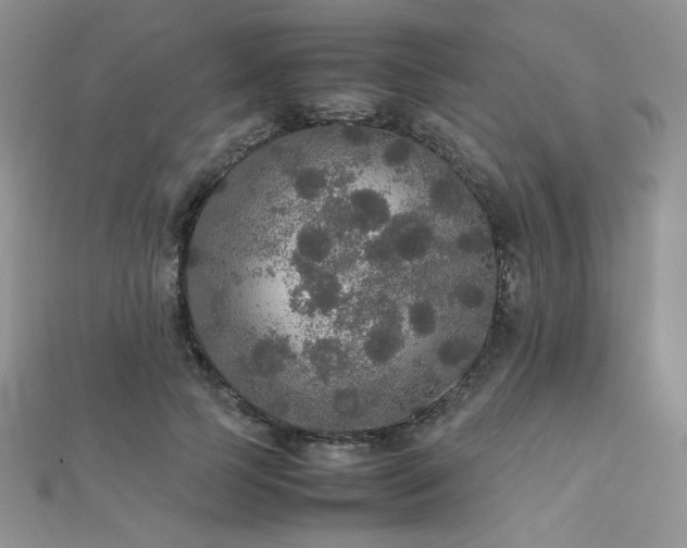 X0000112530745200908171420