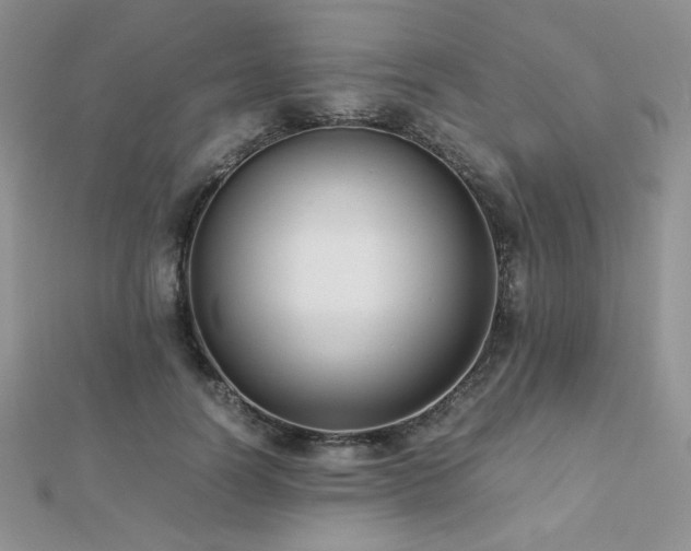 X0000112530746200908171420