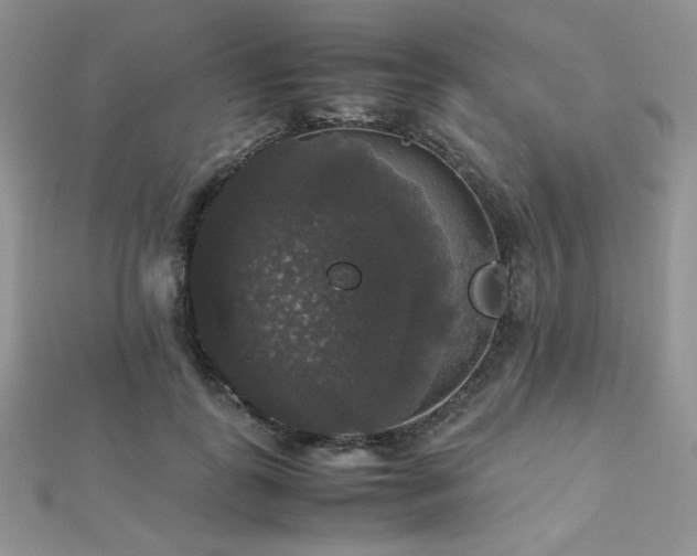 X0000112530747200908171420