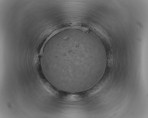 X0000112530748200908171420