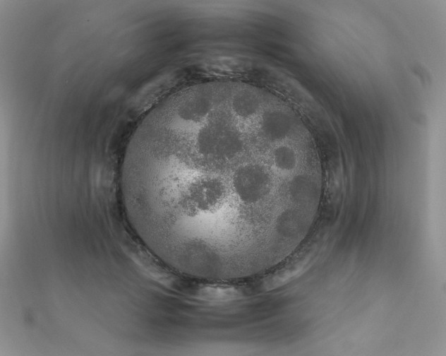X0000112530749200908171420