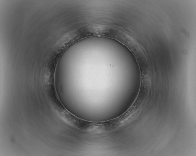 X0000112530750200908171420