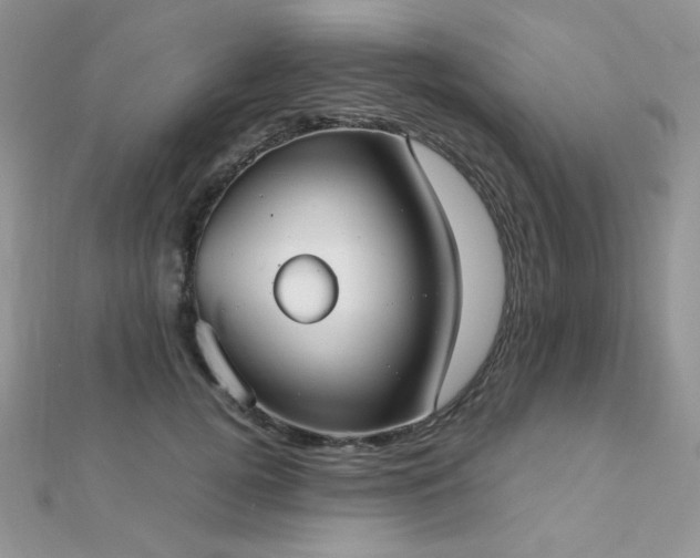 X0000112530752200908171420