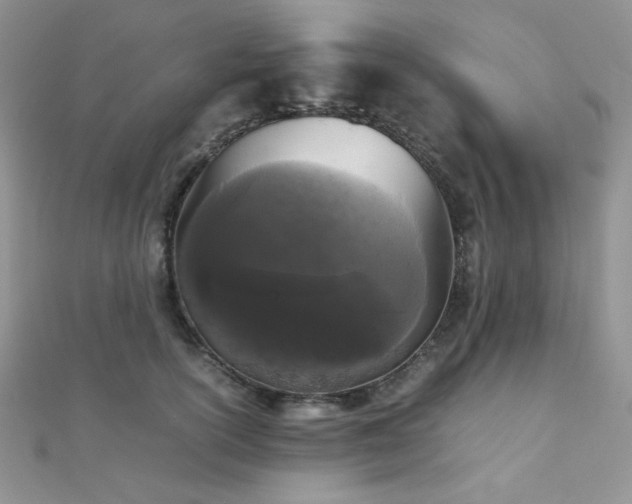 X0000112530754200908171420