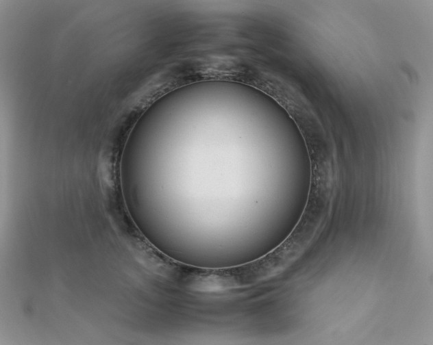 X0000112530755200908171420