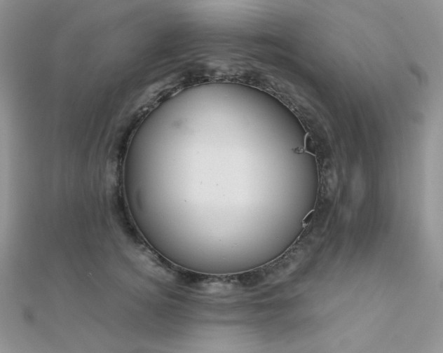 X0000112530756200908171420