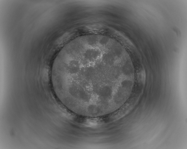 X0000112530757200908171420