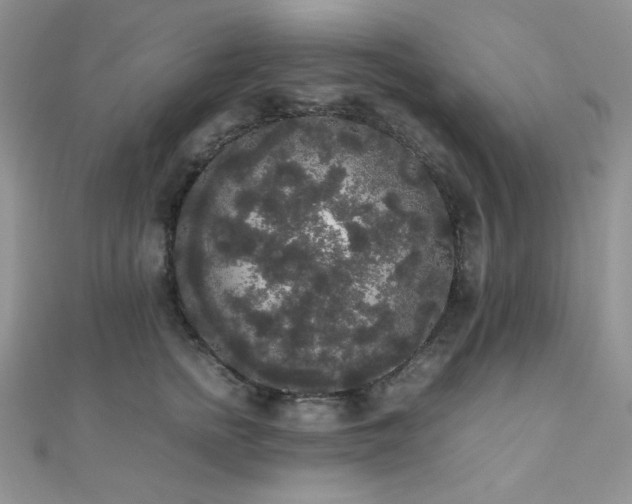 X0000112530758200908171420