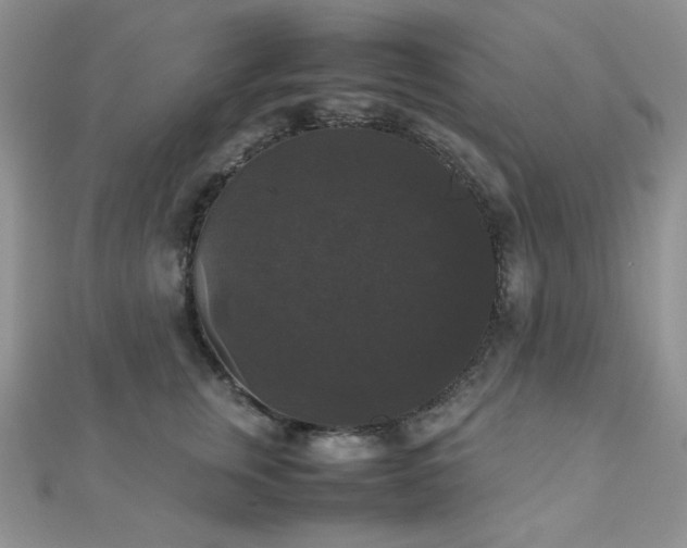 X0000112530759200908171420