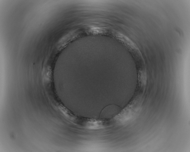 X0000112530760200908171420