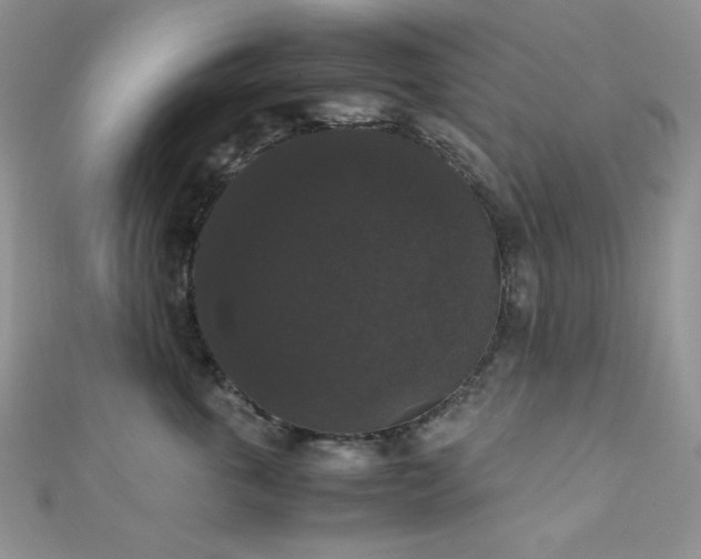 X0000112530763200908171420