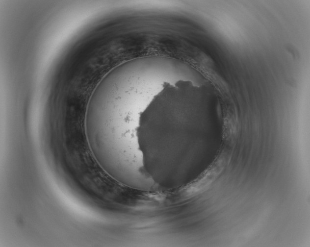 X0000112530765200908171420