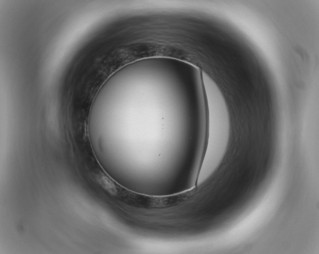 X0000112530766200908171420