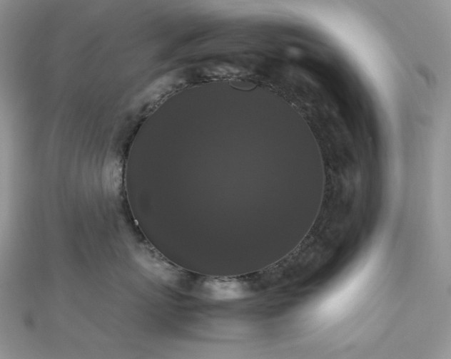 X0000112530767200908171420