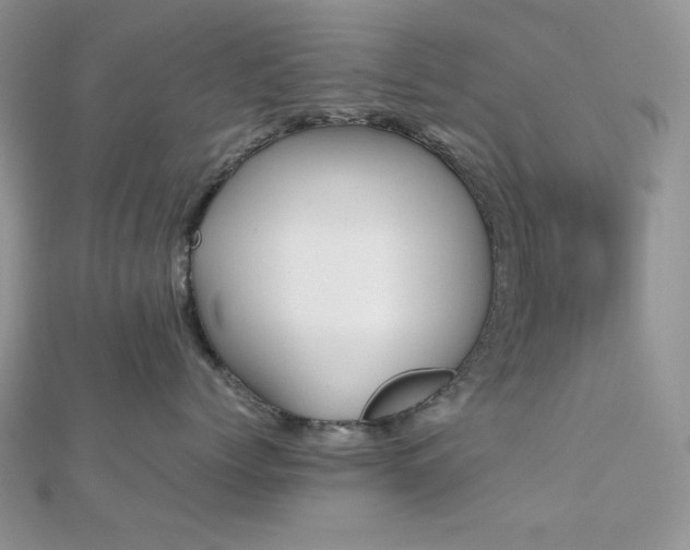 X0000112530768200908171420