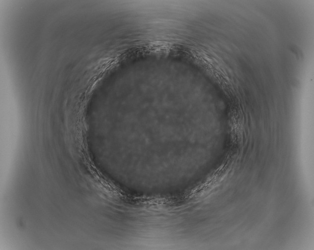 X0000112530769200908171420