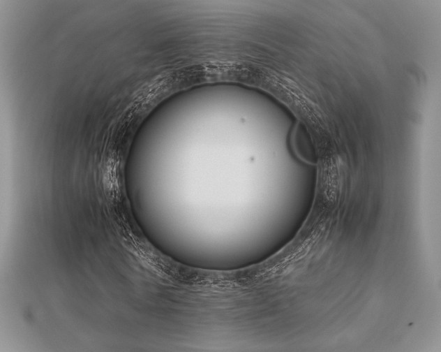 X0000112530770200908171420