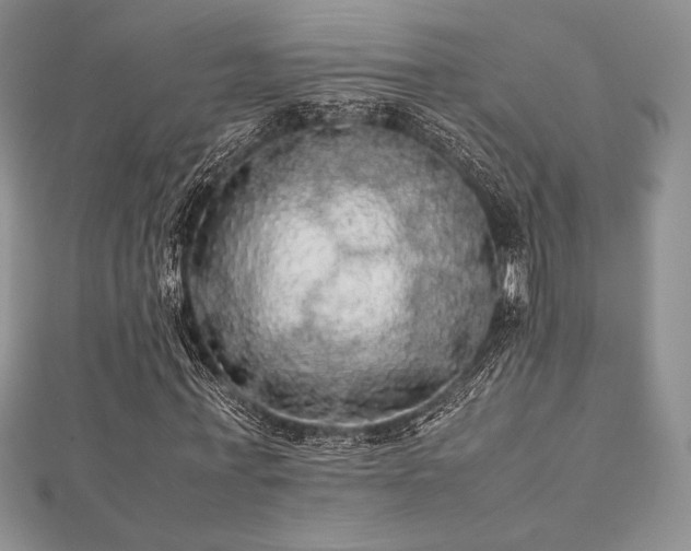 X0000112530771200908171420