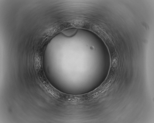 X0000112530772200908171420