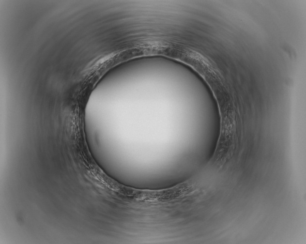 X0000112530773200908171420