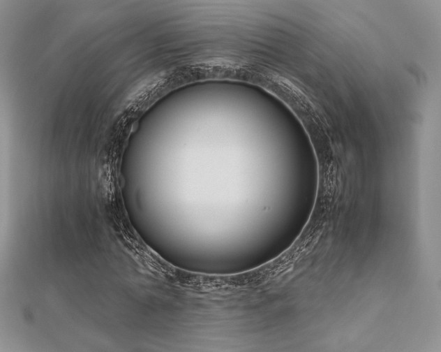 X0000112530774200908171420