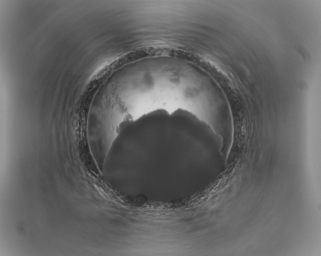 X0000112530775200908171420