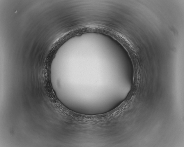 X0000112530776200908171420