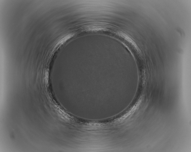 X0000112530777200908171420