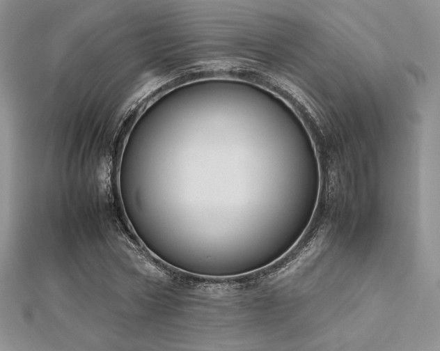 X0000112530778200908171420