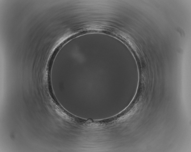 X0000112530779200908171420