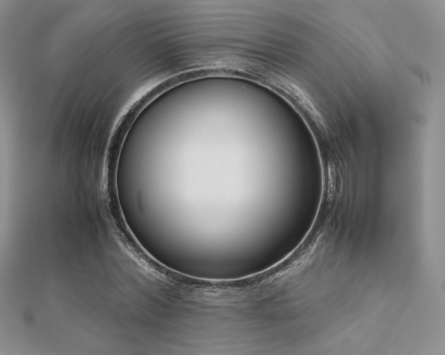 X0000112530780200908171420