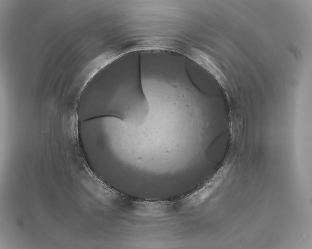 X0000112530781200908171420