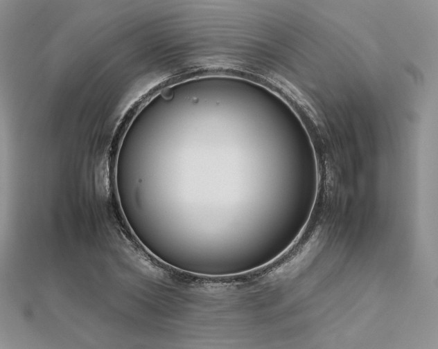 X0000112530782200908171420