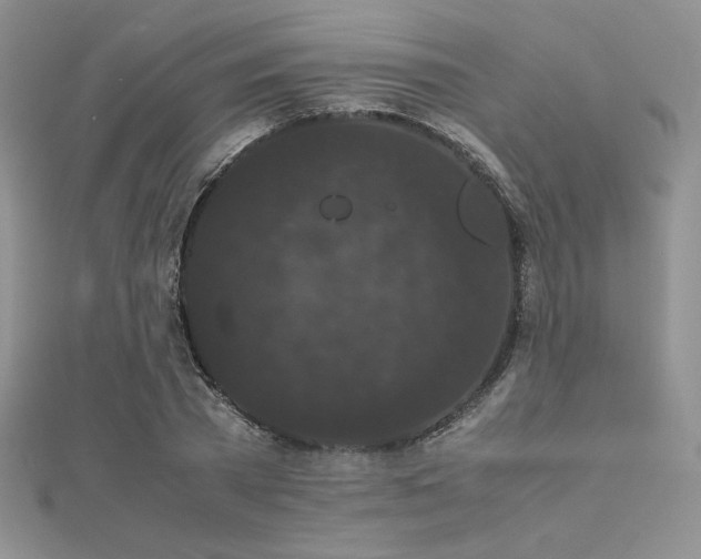 X0000112530785200908171420