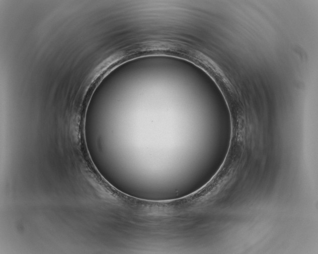 X0000112530786200908171420