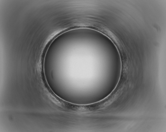 X0000112530787200908171420