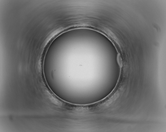 X0000112530789200908171420