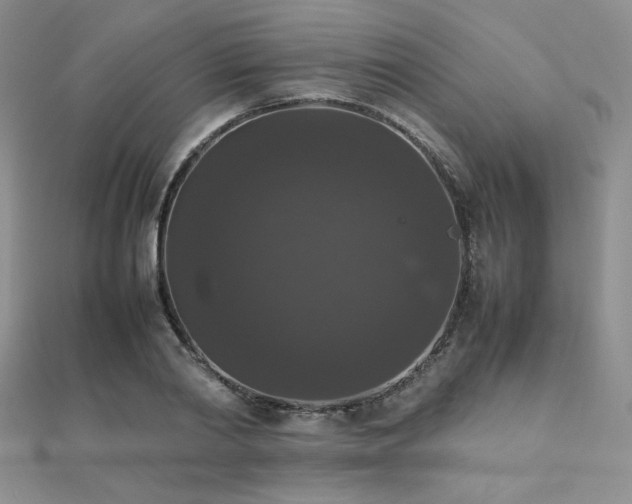 X0000112530790200908171420
