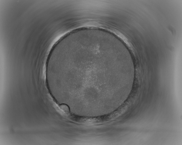 X0000112530791200908171420