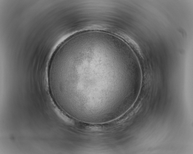 X0000112530792200908171420