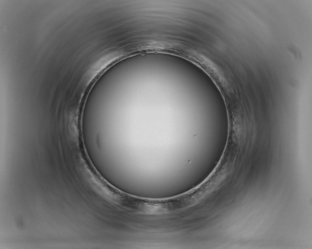X0000112530794200908171419
