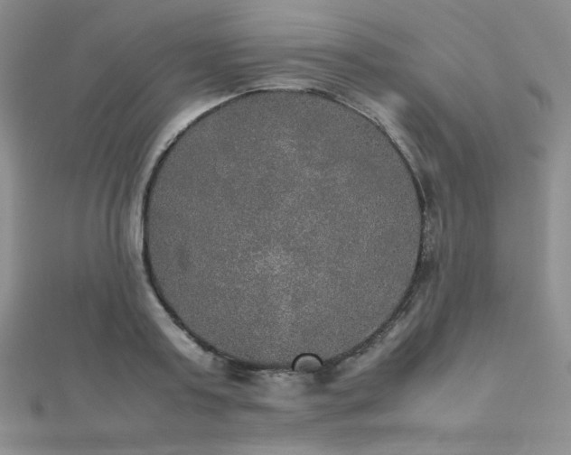 X0000112530795200908171419