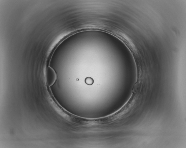 X0000112530796200908171419