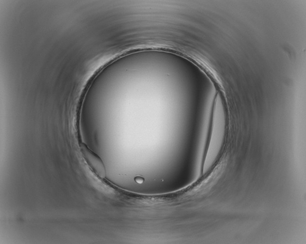 X0000112530797200908171419