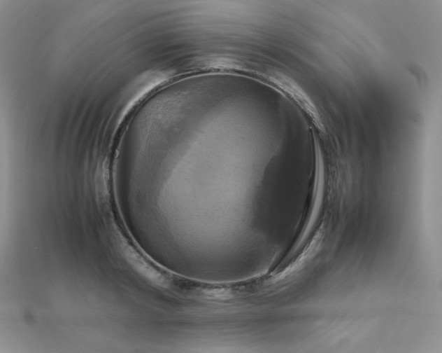 X0000112530798200908171419